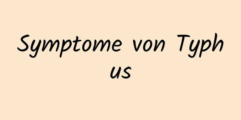 Symptome von Typhus