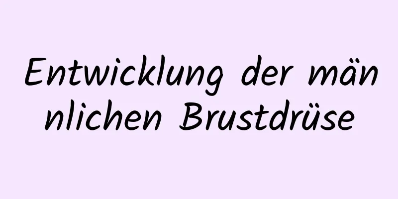 Entwicklung der männlichen Brustdrüse