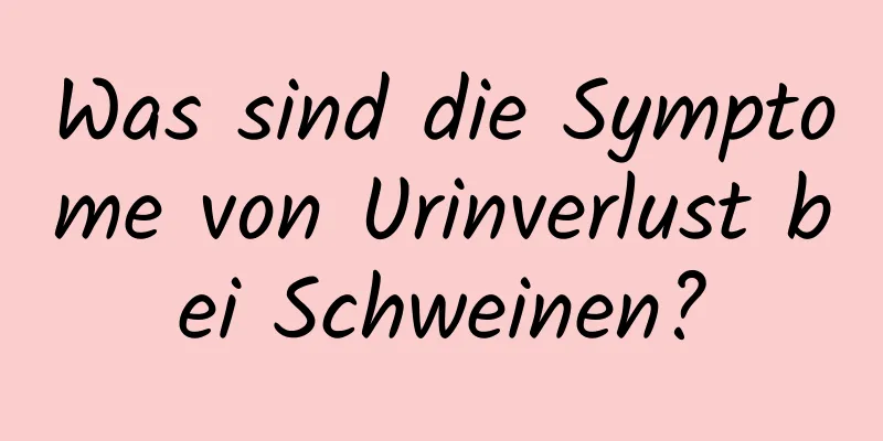 Was sind die Symptome von Urinverlust bei Schweinen?