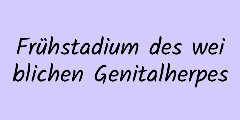 Frühstadium des weiblichen Genitalherpes