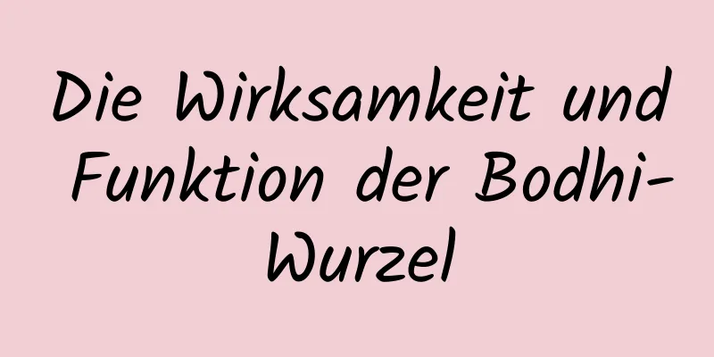 Die Wirksamkeit und Funktion der Bodhi-Wurzel