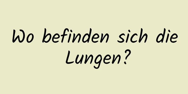 Wo befinden sich die Lungen?