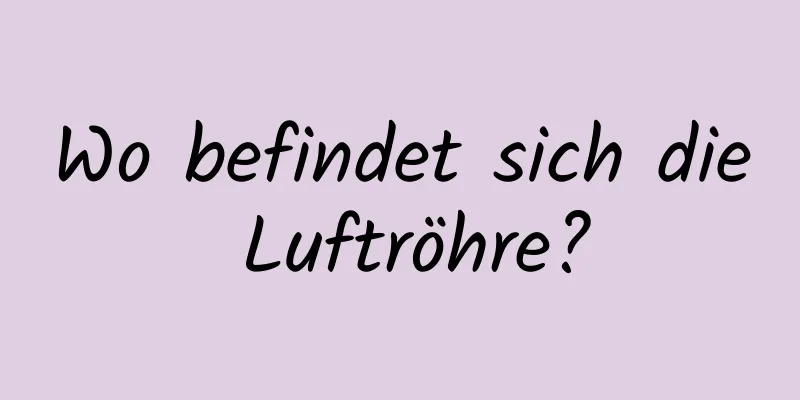 Wo befindet sich die Luftröhre?