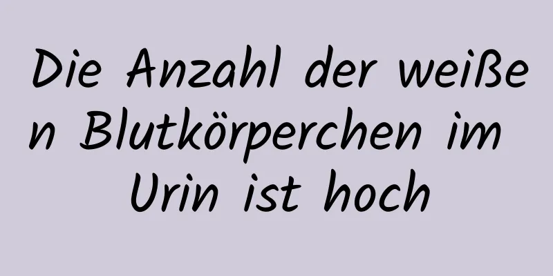 Die Anzahl der weißen Blutkörperchen im Urin ist hoch