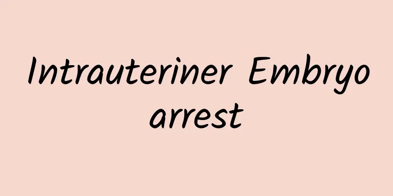 Intrauteriner Embryoarrest