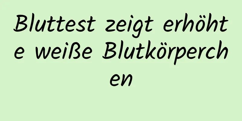 Bluttest zeigt erhöhte weiße Blutkörperchen