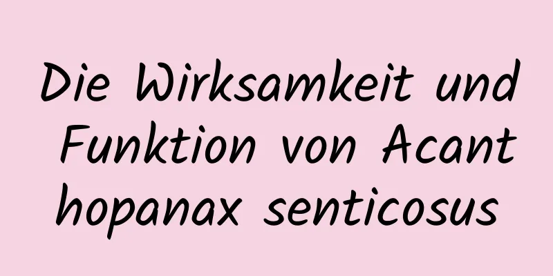 Die Wirksamkeit und Funktion von Acanthopanax senticosus