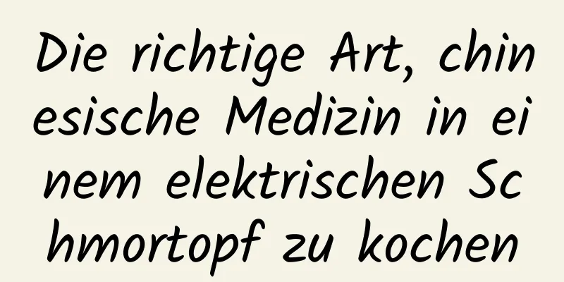 Die richtige Art, chinesische Medizin in einem elektrischen Schmortopf zu kochen