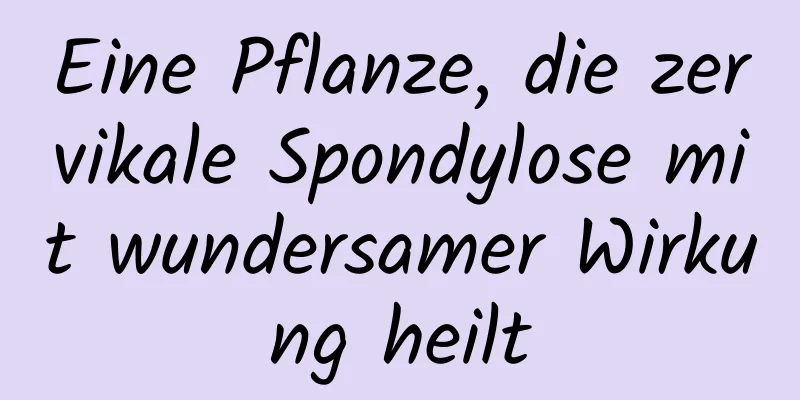 Eine Pflanze, die zervikale Spondylose mit wundersamer Wirkung heilt