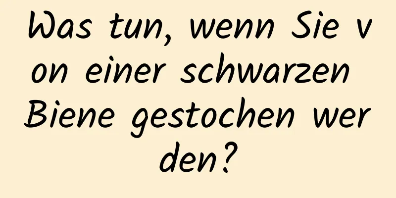 Was tun, wenn Sie von einer schwarzen Biene gestochen werden?