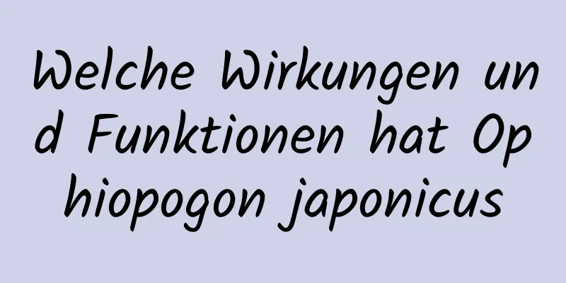 Welche Wirkungen und Funktionen hat Ophiopogon japonicus