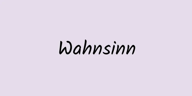 Wahnsinn