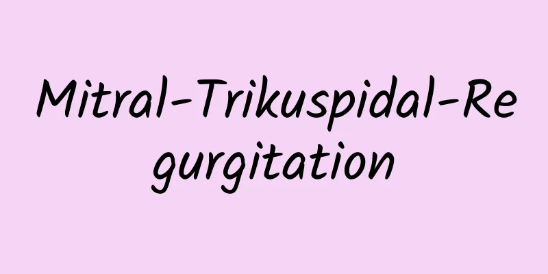 Mitral-Trikuspidal-Regurgitation