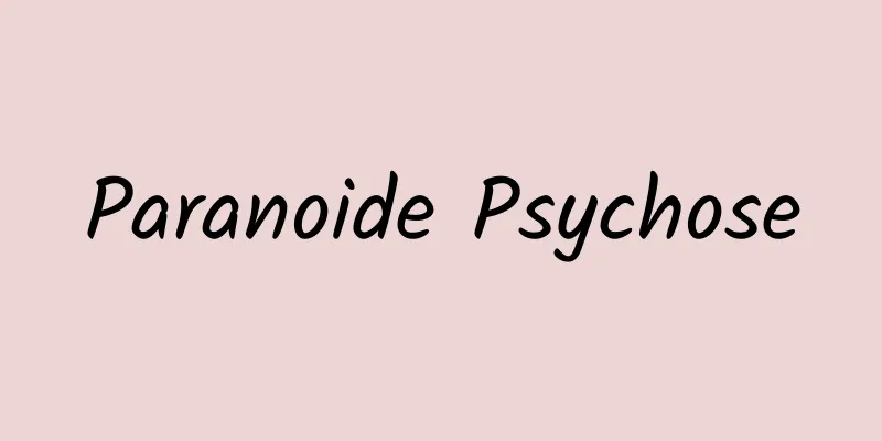 Paranoide Psychose