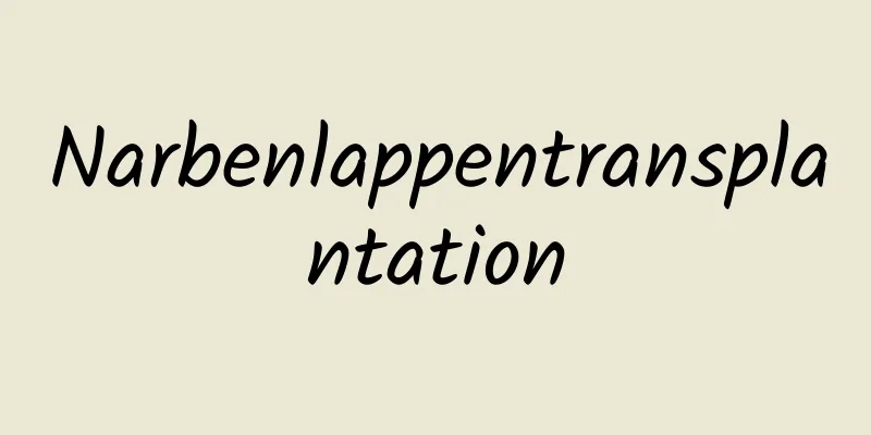 Narbenlappentransplantation