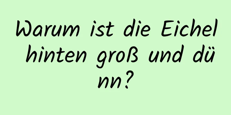 Warum ist die Eichel hinten groß und dünn?