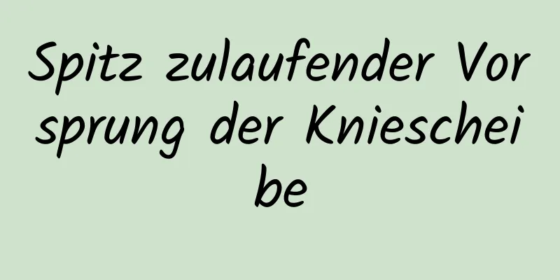 Spitz zulaufender Vorsprung der Kniescheibe