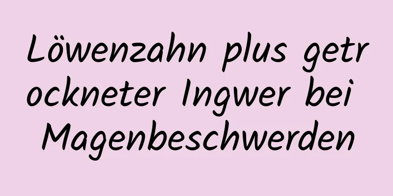 Löwenzahn plus getrockneter Ingwer bei Magenbeschwerden