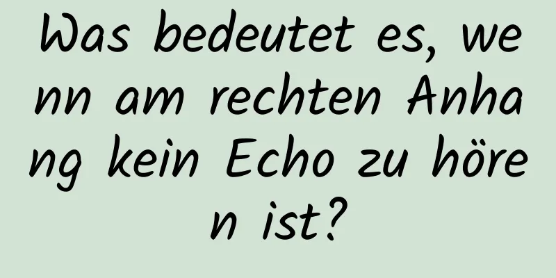 Was bedeutet es, wenn am rechten Anhang kein Echo zu hören ist?