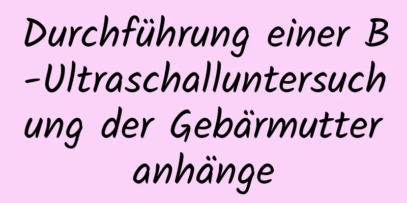 Durchführung einer B-Ultraschalluntersuchung der Gebärmutteranhänge