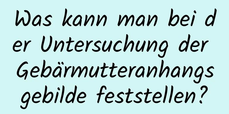 Was kann man bei der Untersuchung der Gebärmutteranhangsgebilde feststellen?