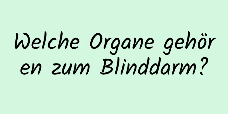 Welche Organe gehören zum Blinddarm?