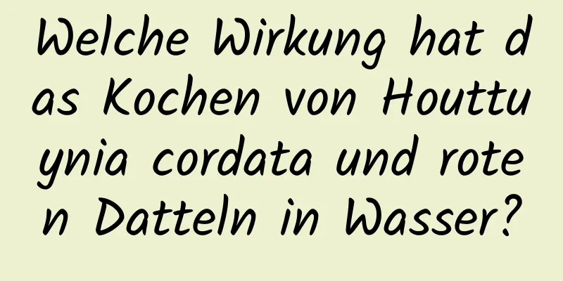 Welche Wirkung hat das Kochen von Houttuynia cordata und roten Datteln in Wasser?