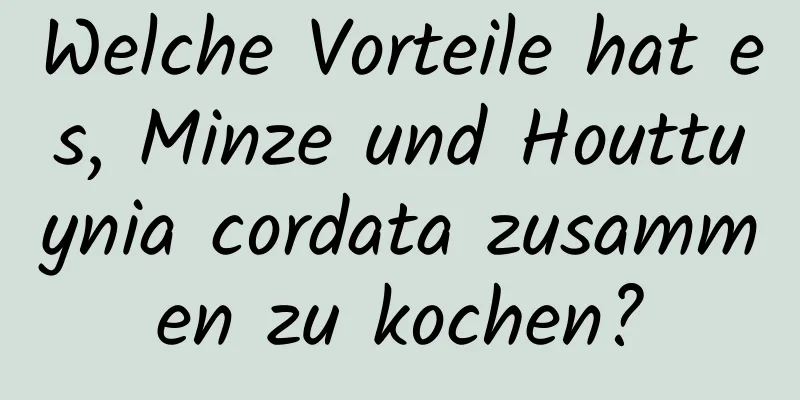 Welche Vorteile hat es, Minze und Houttuynia cordata zusammen zu kochen?