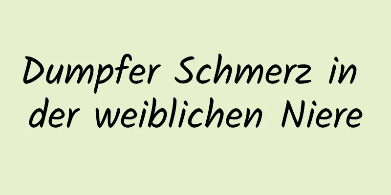 Dumpfer Schmerz in der weiblichen Niere