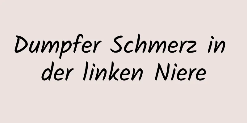 Dumpfer Schmerz in der linken Niere