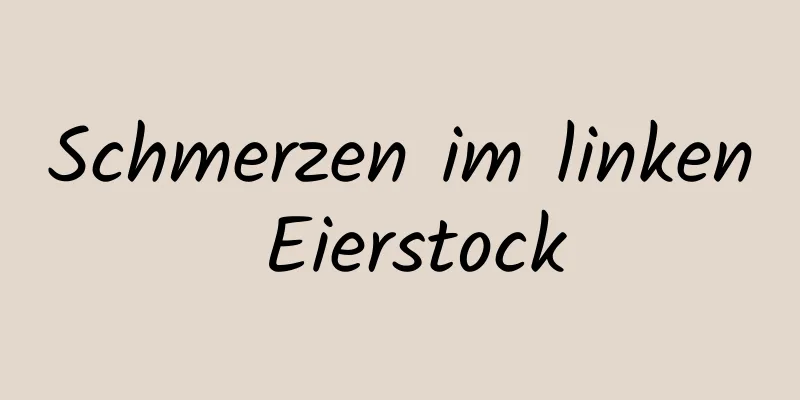 Schmerzen im linken Eierstock