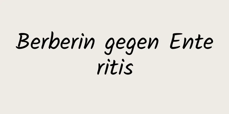 Berberin gegen Enteritis