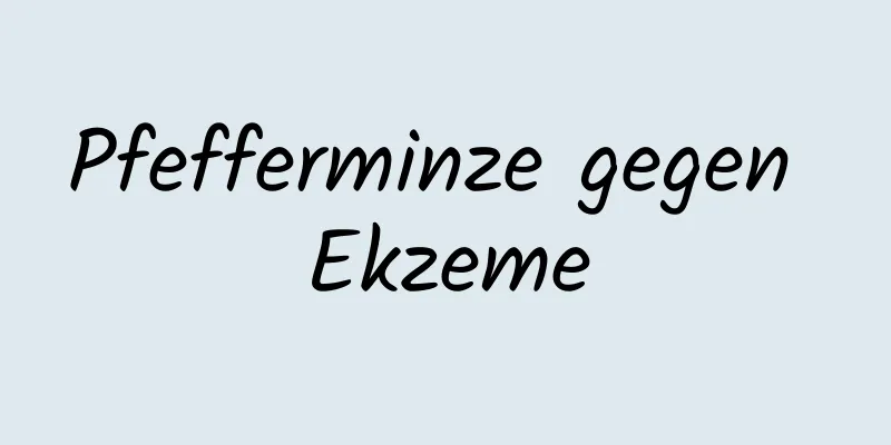 Pfefferminze gegen Ekzeme