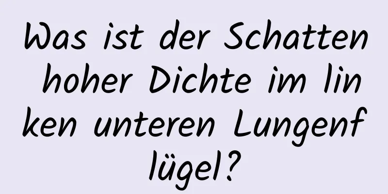 Was ist der Schatten hoher Dichte im linken unteren Lungenflügel?