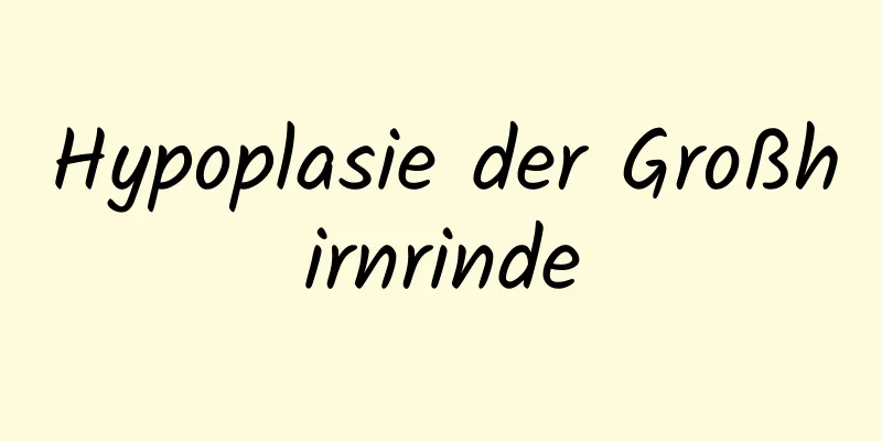 Hypoplasie der Großhirnrinde