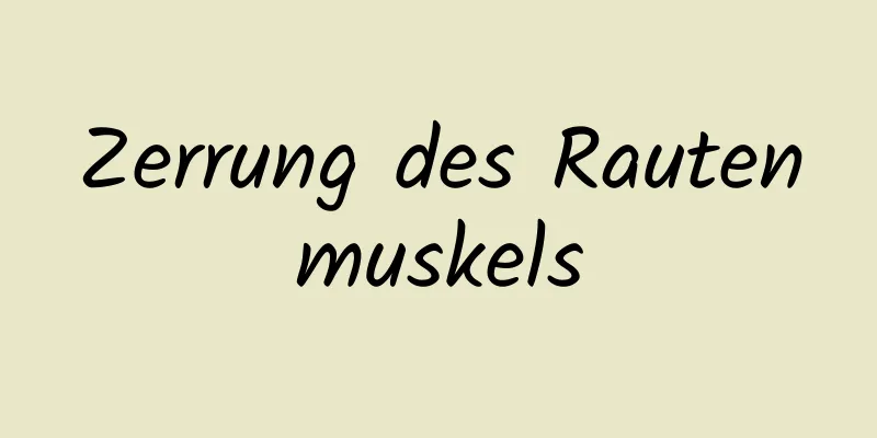 Zerrung des Rautenmuskels