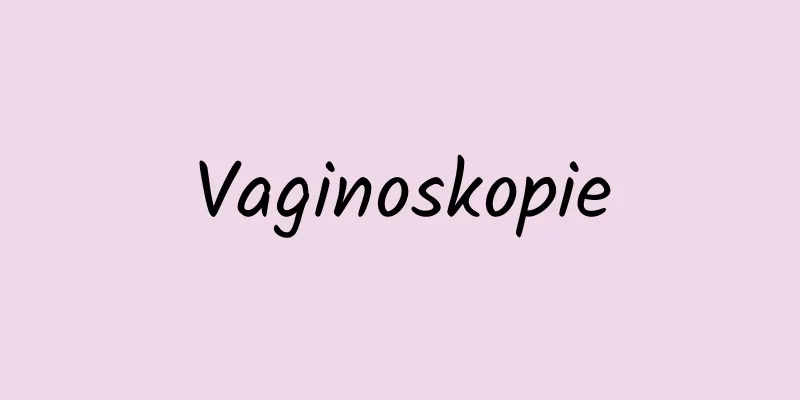 Vaginoskopie