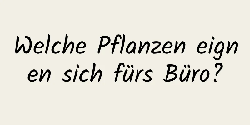 Welche Pflanzen eignen sich fürs Büro?