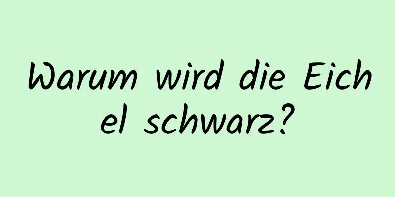 Warum wird die Eichel schwarz?