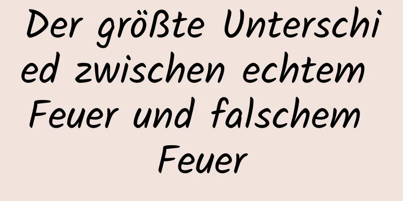 Der größte Unterschied zwischen echtem Feuer und falschem Feuer