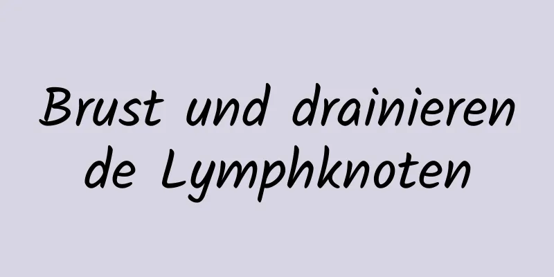 Brust und drainierende Lymphknoten