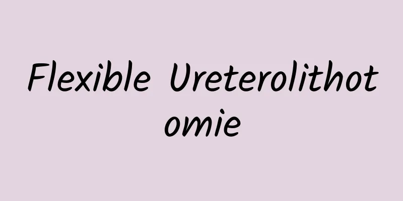 Flexible Ureterolithotomie