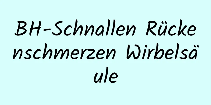 BH-Schnallen Rückenschmerzen Wirbelsäule