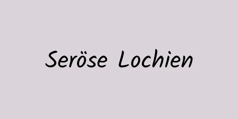 Seröse Lochien