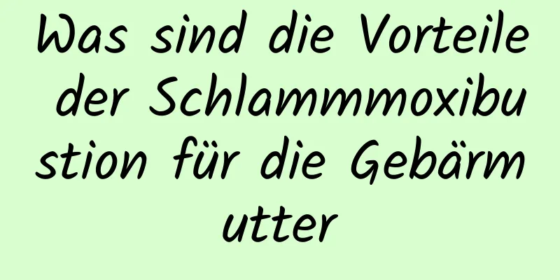 Was sind die Vorteile der Schlammmoxibustion für die Gebärmutter