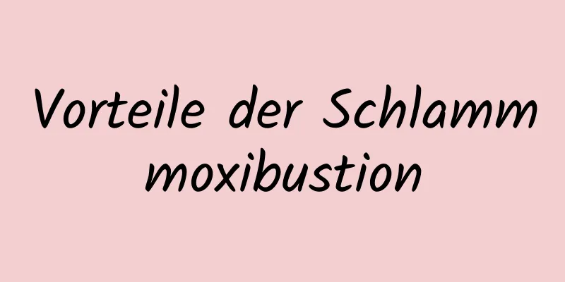 Vorteile der Schlammmoxibustion