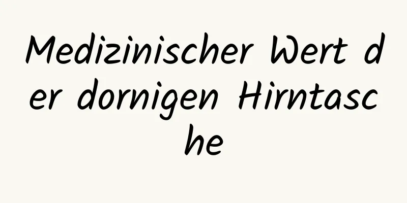 Medizinischer Wert der dornigen Hirntasche