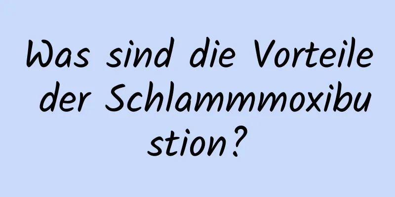 Was sind die Vorteile der Schlammmoxibustion?