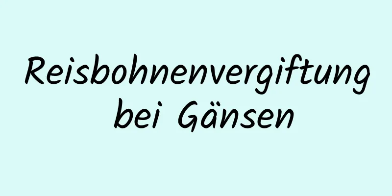 Reisbohnenvergiftung bei Gänsen