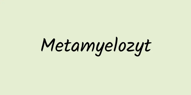 Metamyelozyt